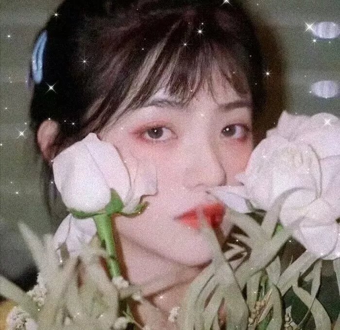 天若有情2